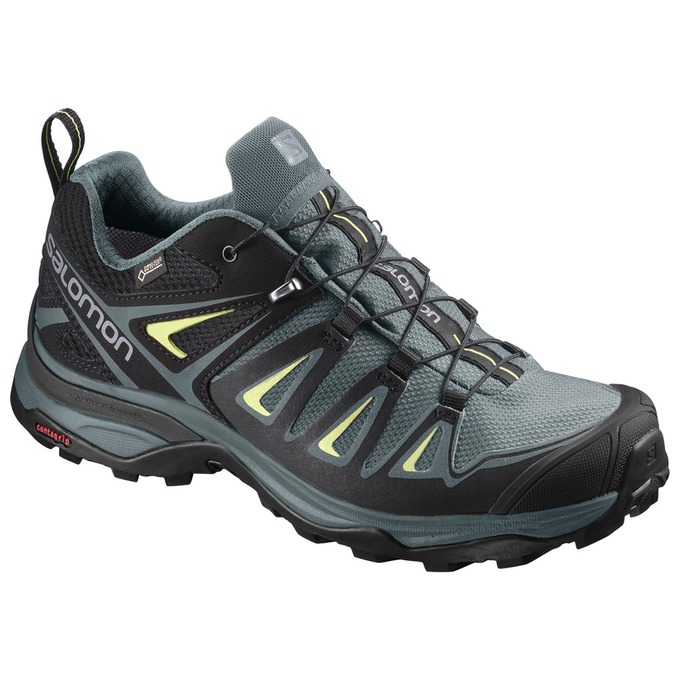 Chaussures De Randonnée Salomon Femme Grise / Noir - Salomon X ULTRA 3 GTX® W - France (0324-CJEIK)